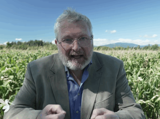 L’Alsace Insolite France 3 Alsace(2025)