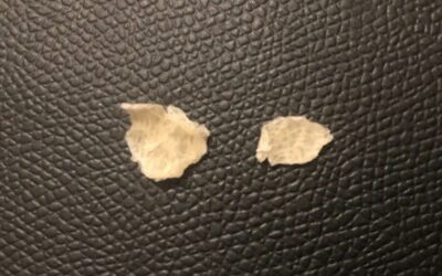 « Prolégomènes à toute Métaphysique Passée », février 2026