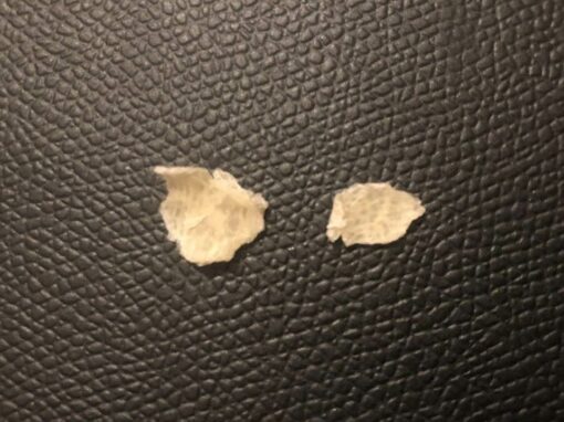 « Prolégomènes à toute Métaphysique Passée », février 2026