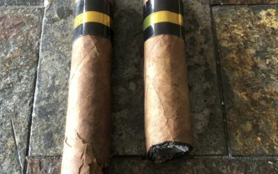 « Adepte de la contre-allée », mars 2026