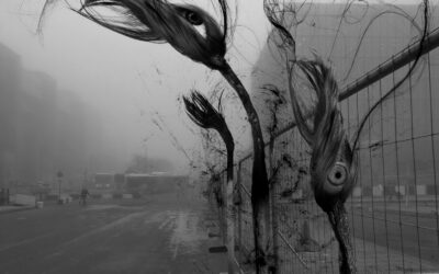 Ici l’Ombre (2026)