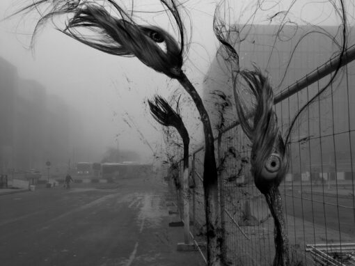 Ici l&rsquo;Ombre (2026)