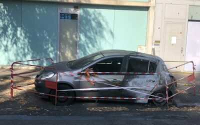 « Exogène intragène sans gêne », juin 2026